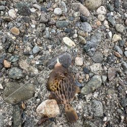 友達と釣りに🎣