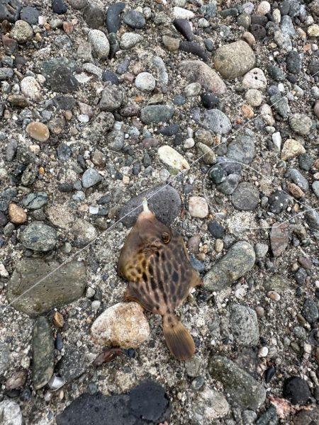 友達と釣りに🎣