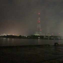 【過酷】エサなしサビキ