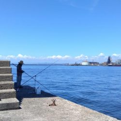 播磨新島釣行25