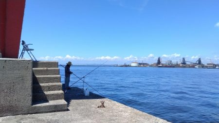 播磨新島釣行25