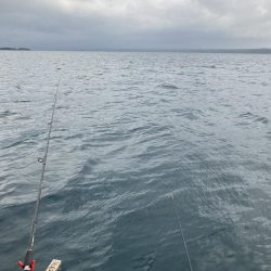 筏釣りリベンジ