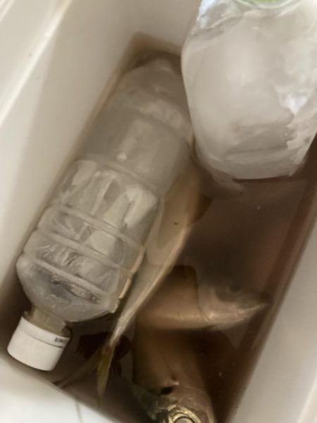 ⭐︎まだまだイケそう