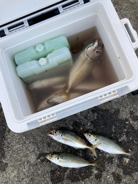 ⭐︎1センチの壁