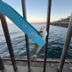 渋い人マシマシ!