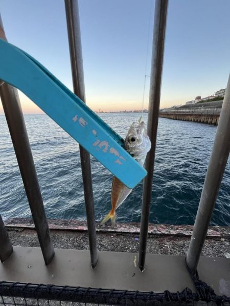 渋い人マシマシ！