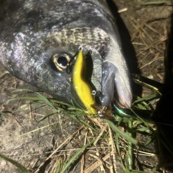 雨パワー!ᕙ( ‘ω’)ᕗ