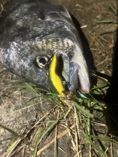 雨パワー!ᕙ( ‘ω’)ᕗ