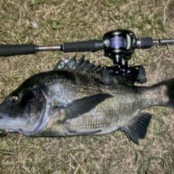 月を見ながらお散歩チニング