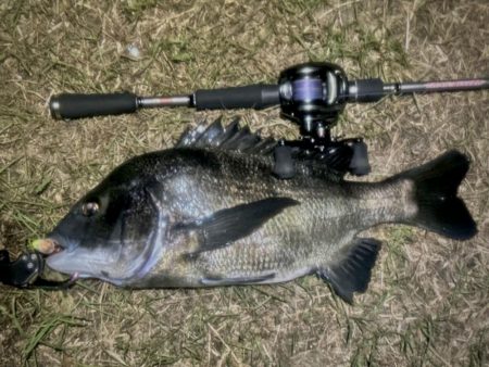 月を見ながらお散歩チニング