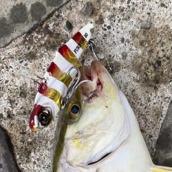 ライトショアジギング