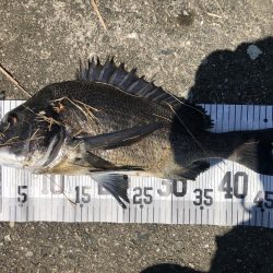 イチノ兄弟、釣果！