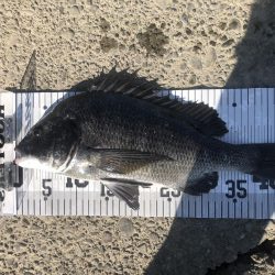 イチノ兄弟、釣果!