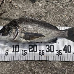 イチノ兄弟、釣果!