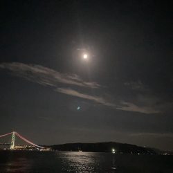 サビキで大漁！