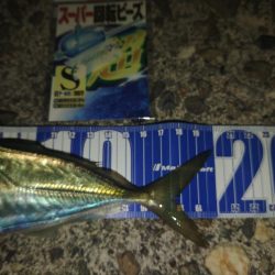 フロートゲーム~