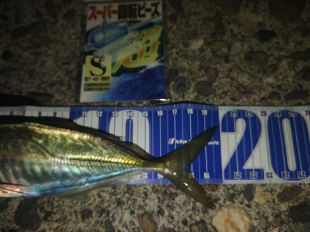 フロートゲーム~