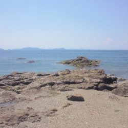 色々釣れました