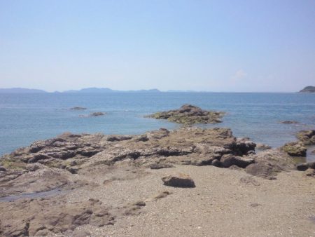 色々釣れました