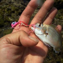 あまり釣れませんでした