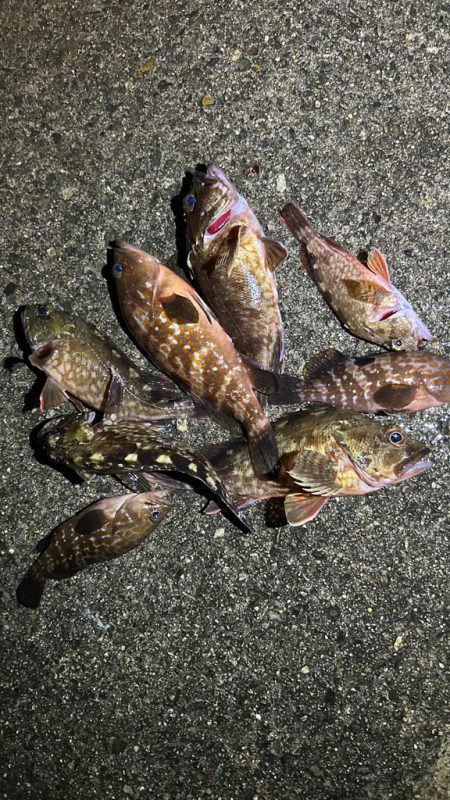 ジグヘッドウエイト調整