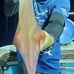 ぼちぼちイカメタル