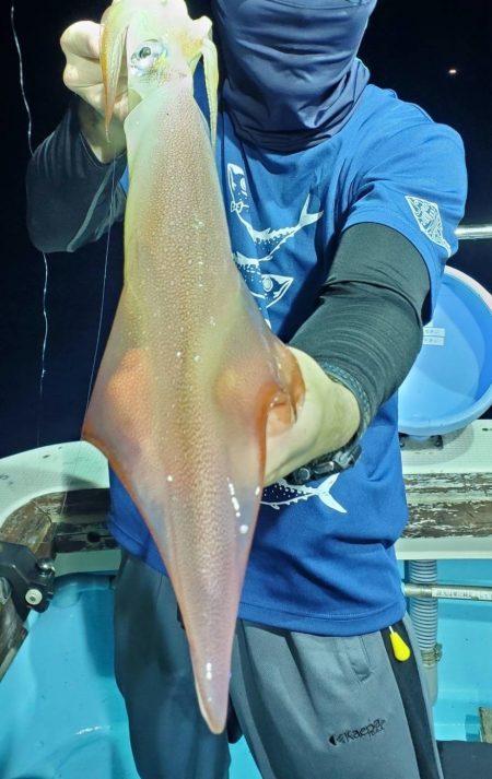 ぼちぼちイカメタル