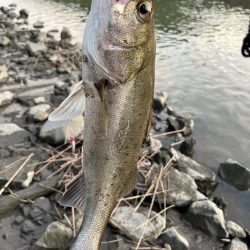 猛暑日で釣りは大変