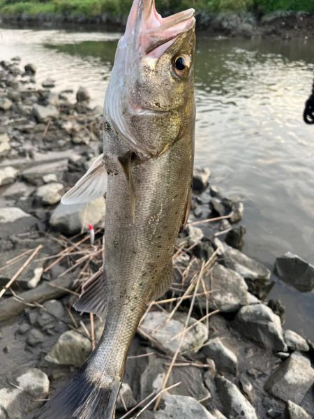 猛暑日で釣りは大変