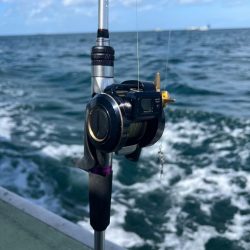 今シーズンラスト蛸