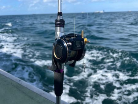 今シーズンラスト蛸