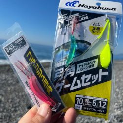 マイクロベイトには弓角