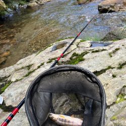 盆明けの避暑と竿新調