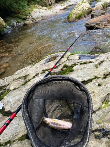 盆明けの避暑と竿新調