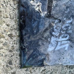 姫路エギング!!