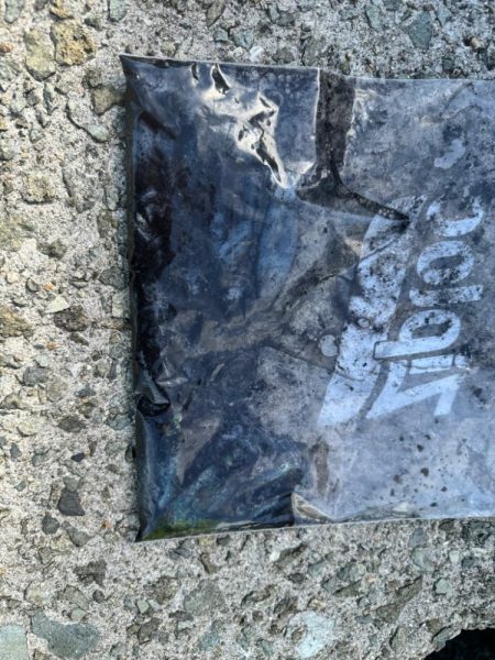 姫路エギング!!