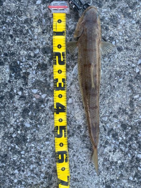 真夏のショアジギング