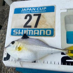 シロギスタ:ムニエリスタ