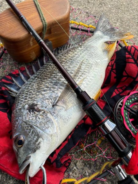 ヘチってきました