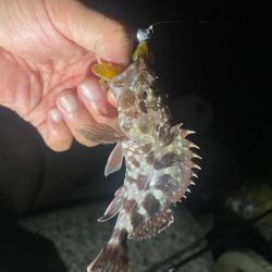 難しい、、、、