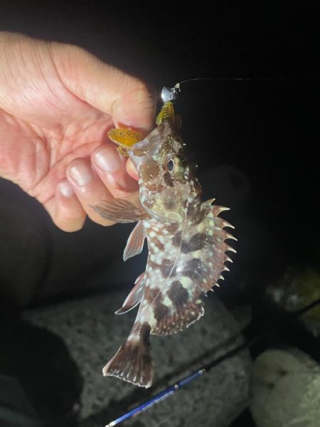 難しい、、、、