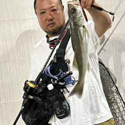 約半年ぶりのスピニングでの釣行もやっぱり楽しい!