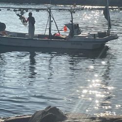 ドハマり中‼️