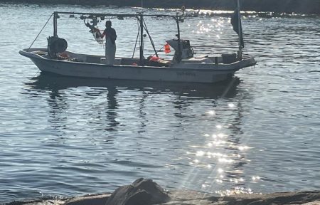 ドハマり中‼️