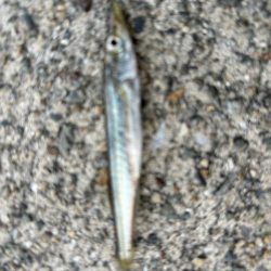 ジグサビキ　33