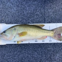 1日ボート釣行！