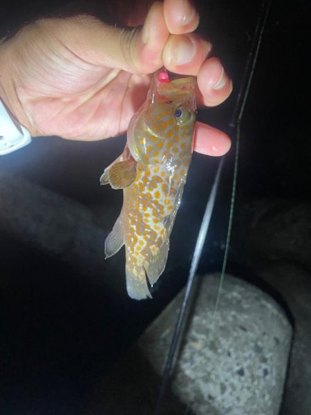 ツライトゲーム