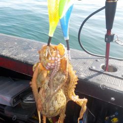 タコ延長戦〜パイレーツダイユウ丸〜