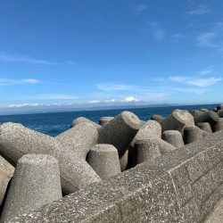 今日もショゴ！