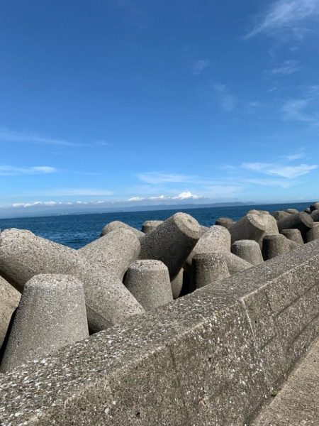 今日もショゴ！